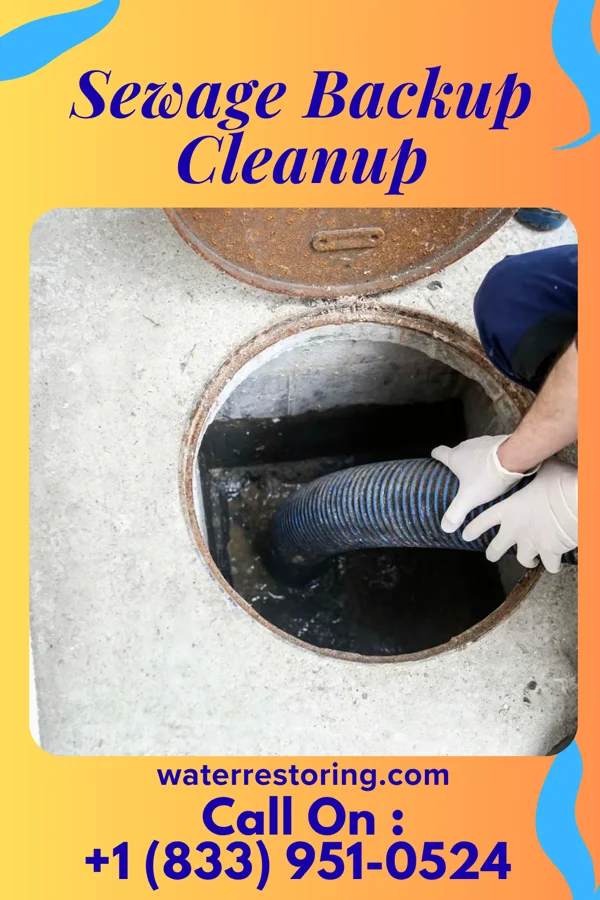 Sewage Backup Cleanup in Merriman, NE
